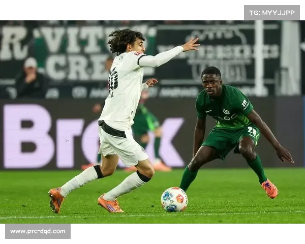 中国体育品牌唯酷光电签约沃尔夫斯堡，虚拟广告技术登陆德甲